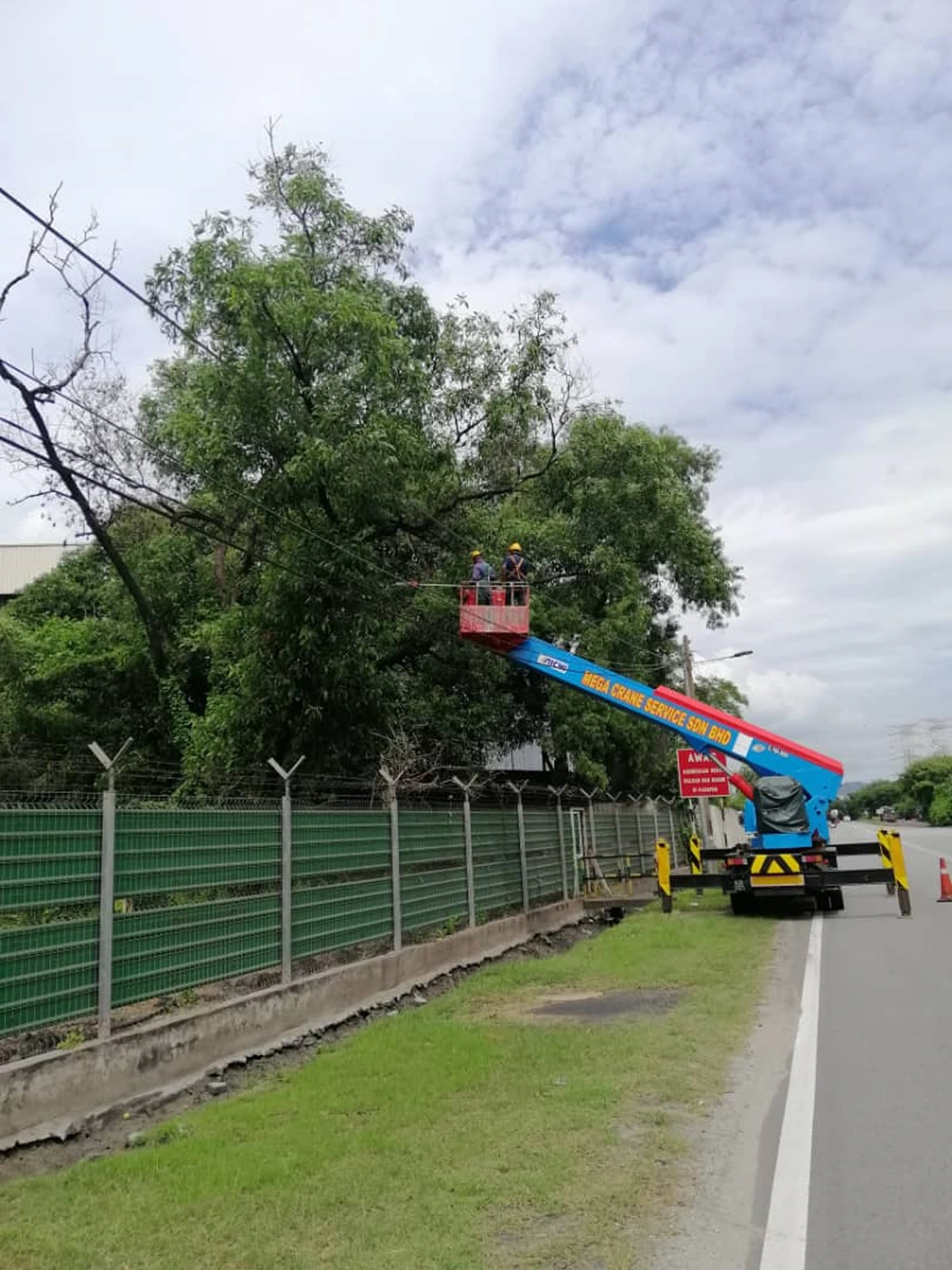 butterworth-tree-cutting-service