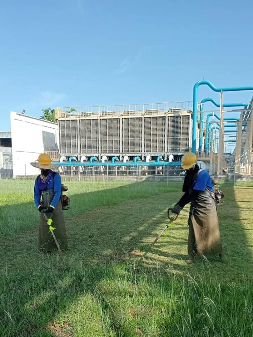 perai-cutting-grass-service