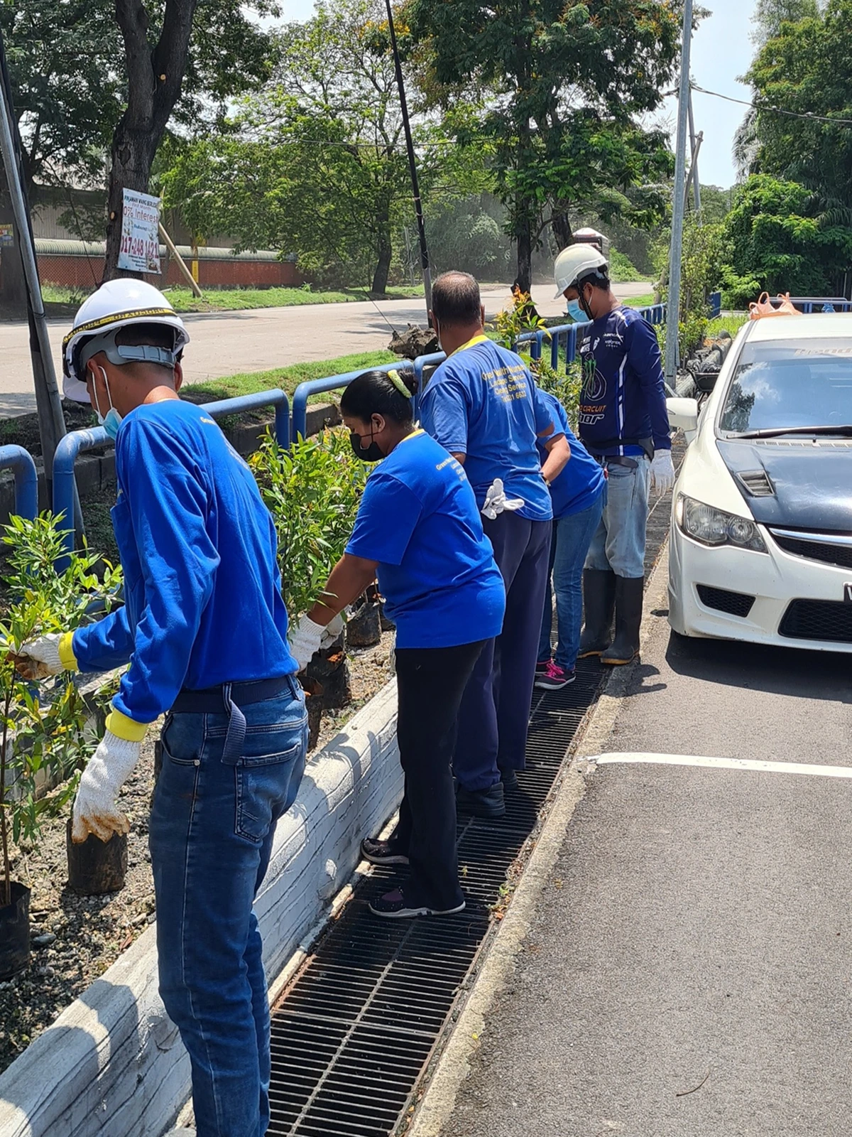 road-side-plant-cutting